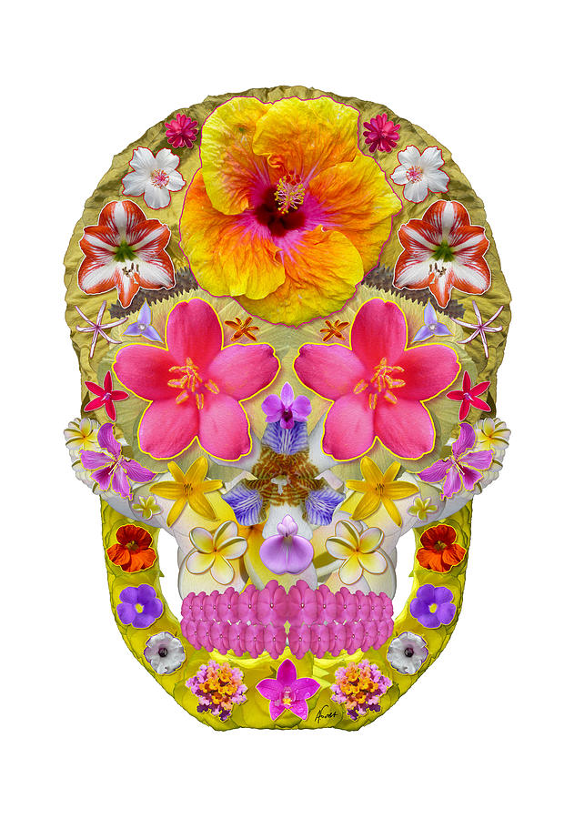 Flower Skull 4 - Tropical Digital Art by Agustin Goba
