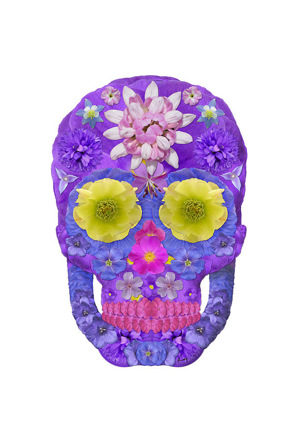 Flower Skull 5 Digital Art by Agustin Goba