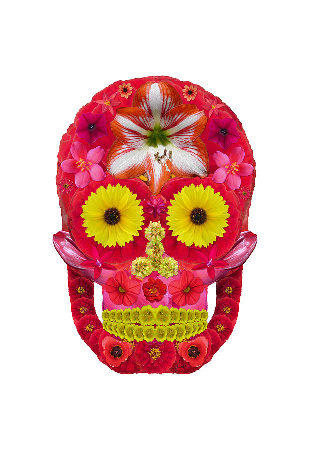 Flower Skull 6 Digital Art by Agustin Goba
