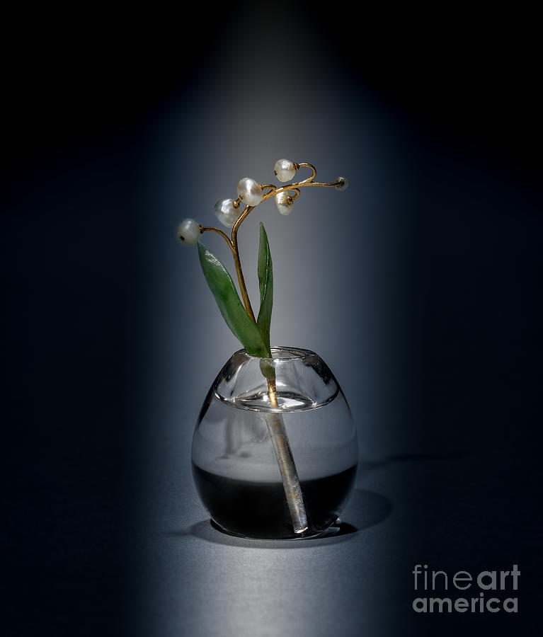 Flower Study of a Miniature Lily by House of Faberge Photograph by Carlos Diaz