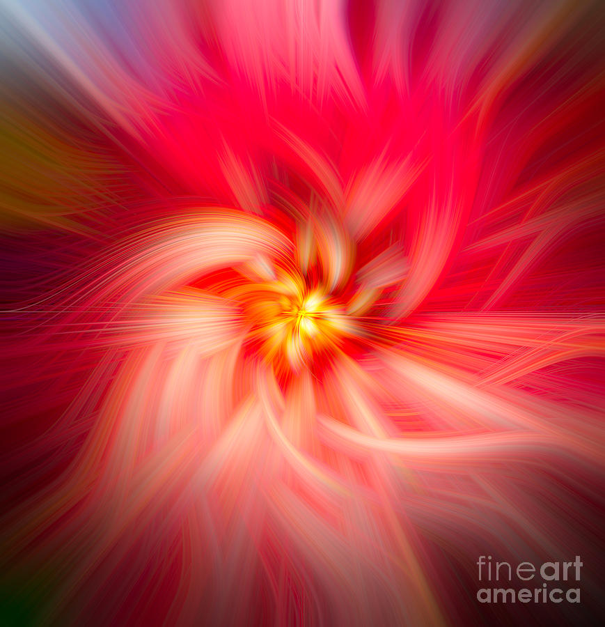 Flower Swirl Abstract  Photograph by Dale Powell