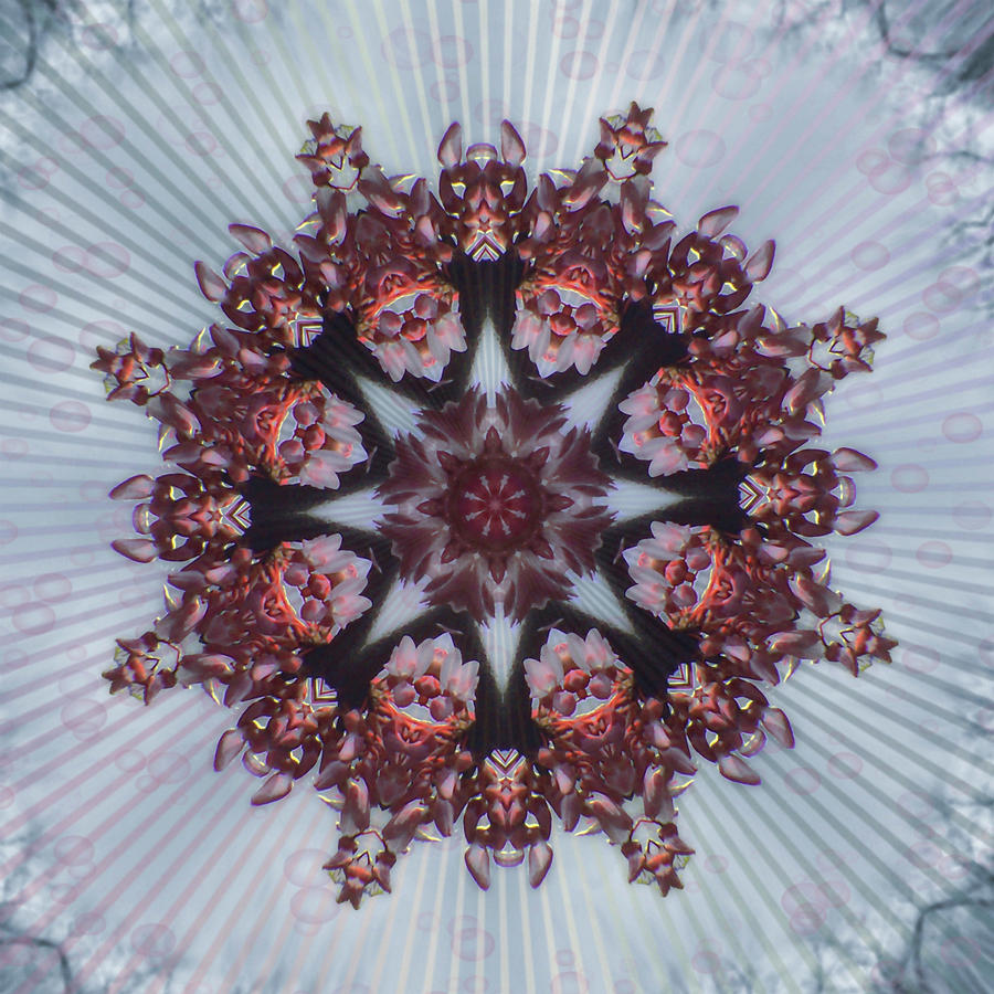 Flower Swirl Digital Art by Dave Turner