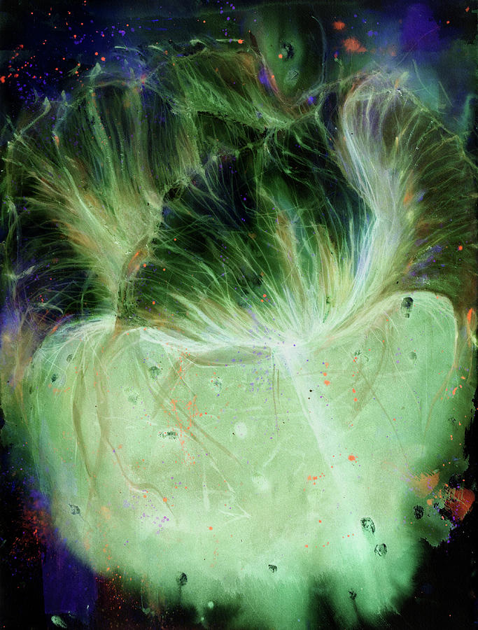 Flower Thingy Reborn 2 inverted 1 Painting by Petra Rau