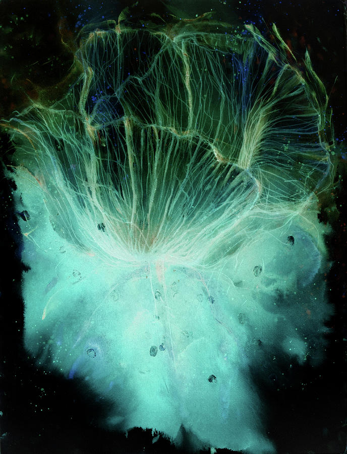 Flower Thingy reborn inverted1 Painting by Petra Rau