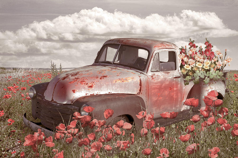 Flower Truck in Country Poppies Photograph by Debra and Dave Vanderlaan