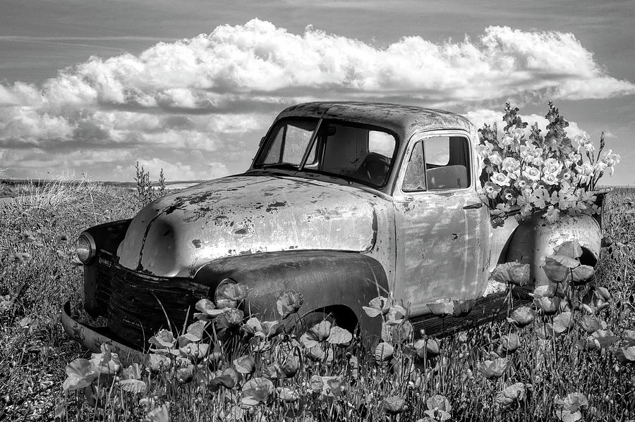 Flower Truck in Poppies Black and White Photograph by Debra and Dave Vanderlaan