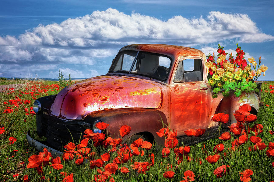 Flower Truck in Poppies Photograph by Debra and Dave Vanderlaan
