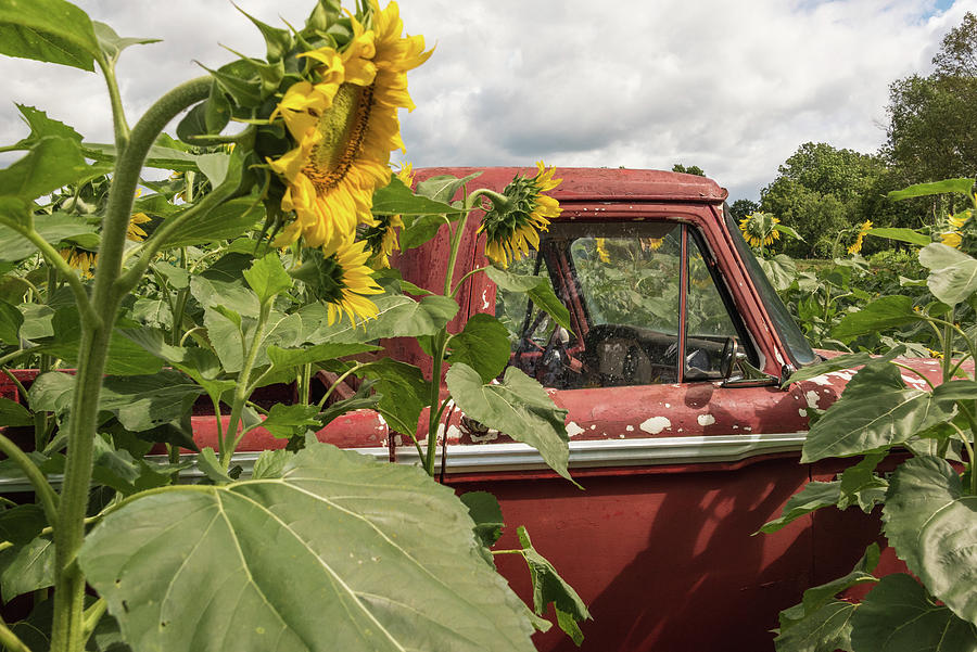 Flower Truck Photograph by Kristopher Schoenleber