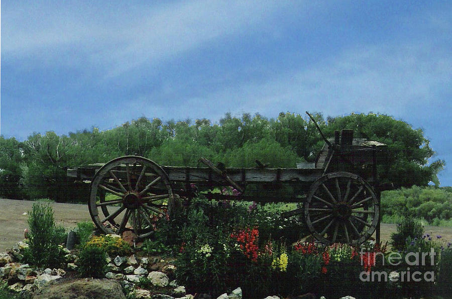 Flower Wagon at Fields Oregon Photograph by Charles Robinson
