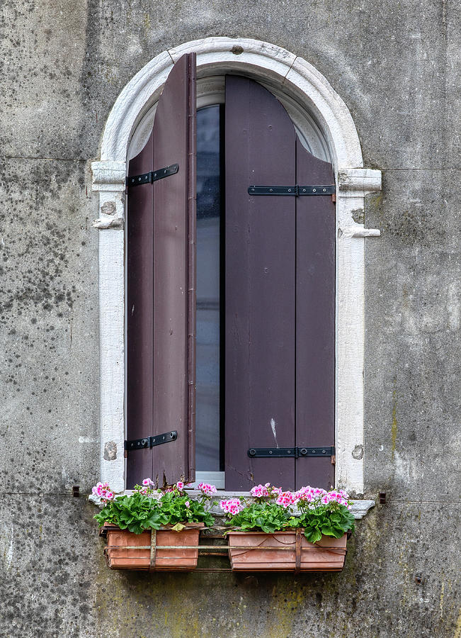 Flower Window of Venice Photograph by David Letts
