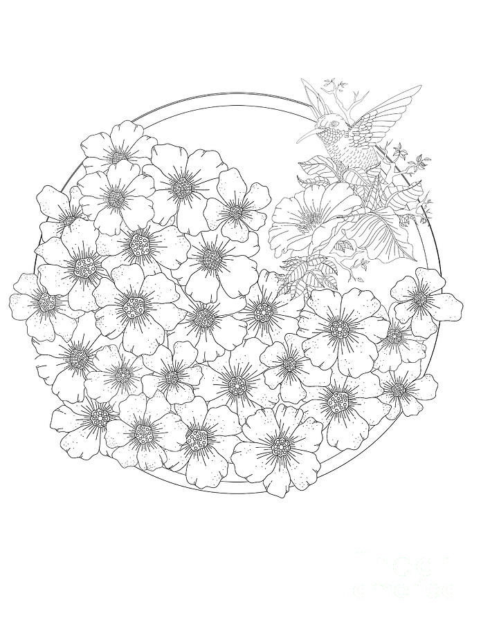 Download Flower Wreath Coloring Page With Hummingbird Drawing by Lisa Brando