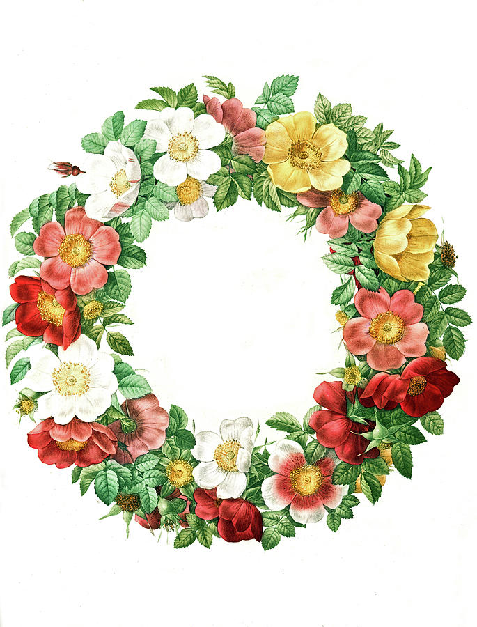 Flower Wreath Digital Art by Long Shot