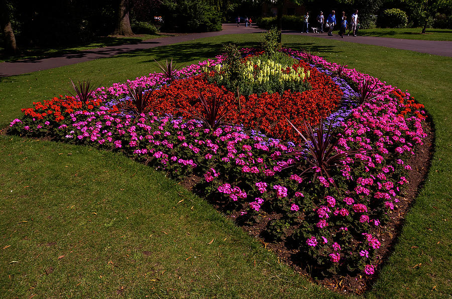 Flowerbed  Photograph by Gordon James