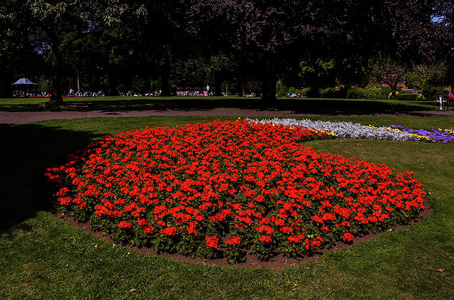 Flowerbed Panorama Photograph by Gordon James