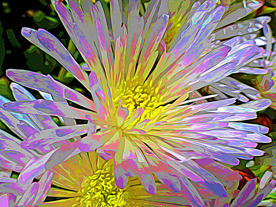 Flowering Beauty Digital Art by Karol Blumenthal
