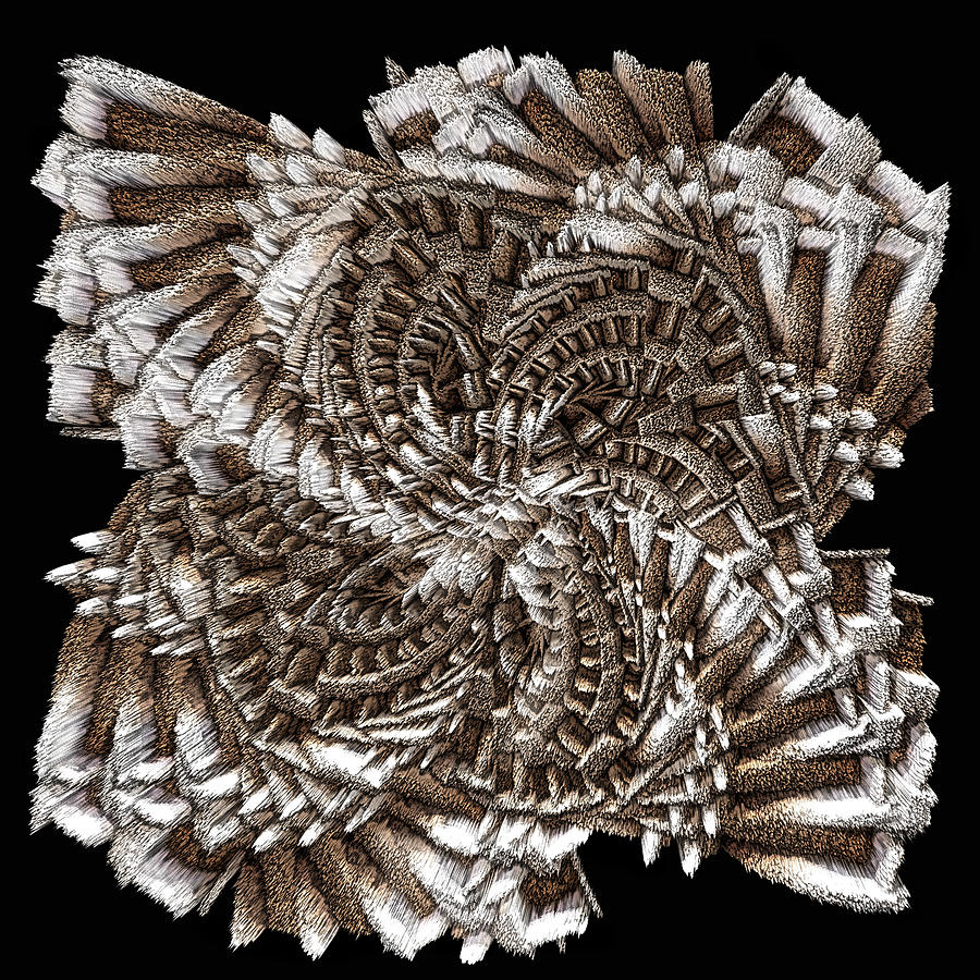 Flowering Fractal Digital Art by Jim Signorelli