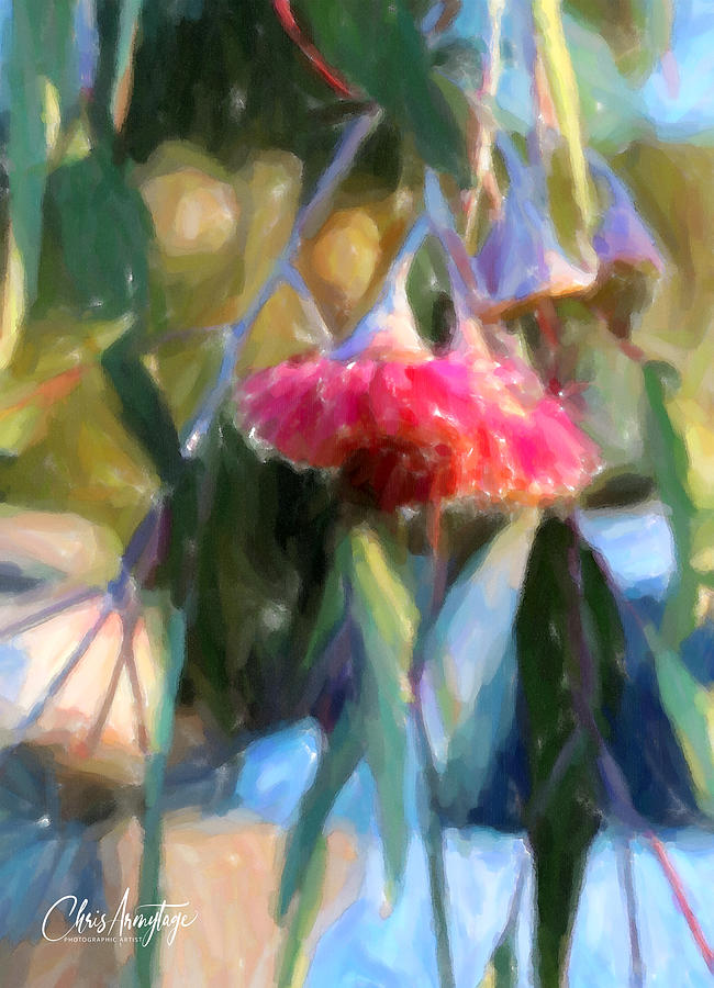 Flowering Gums Digital Art