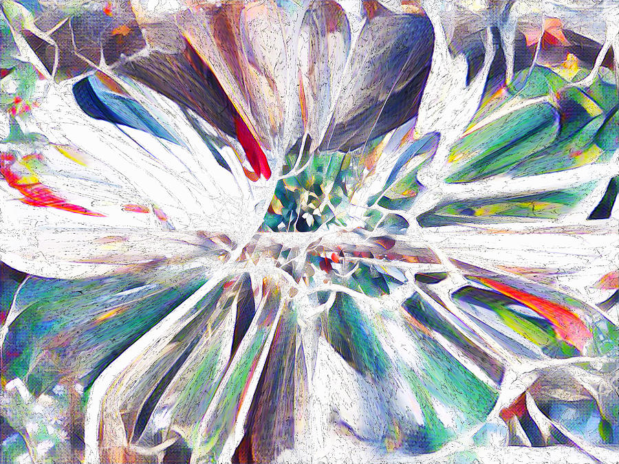 Flowering in Color Photograph by Ali Bailey Flowering in Color Photograph by Ali Bailey