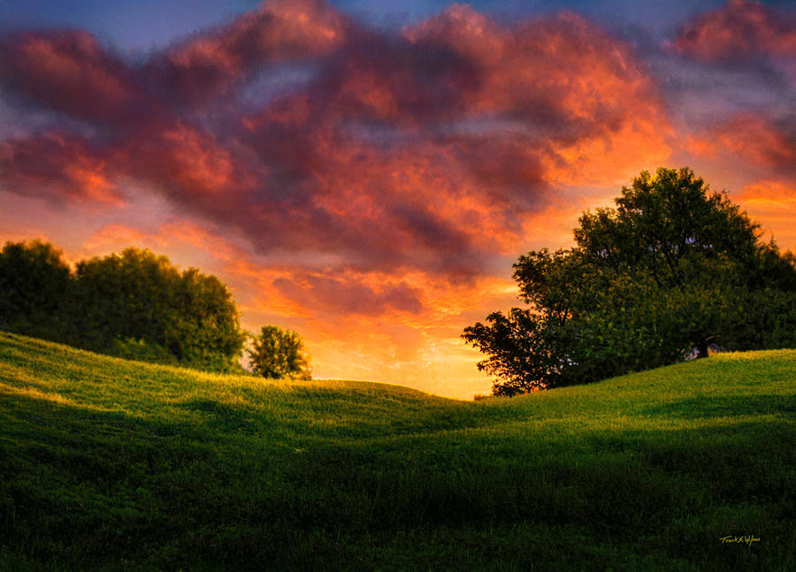 Flowering Meadow At Sunset D Digital Art by Frank Wilson