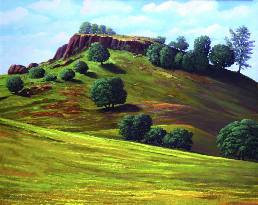 Flowering Meadow Painting by Frank Wilson