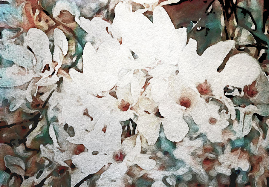Flowering Star Magnolia Painting by Susan Maxwell Schmidt