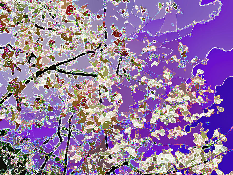 Flowering Tree Abstract Photograph by Corinne Carroll