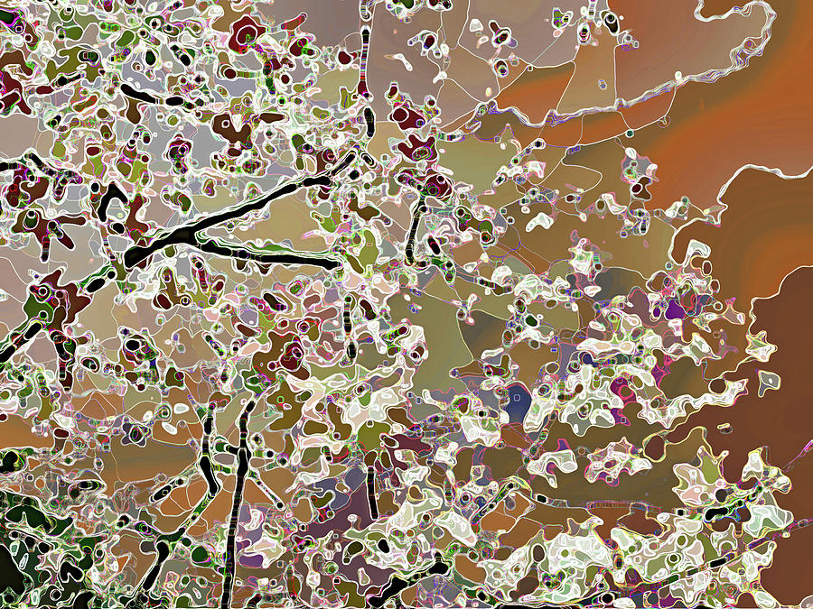 Flowering Tree Abstract Orange Photograph by Corinne Carroll