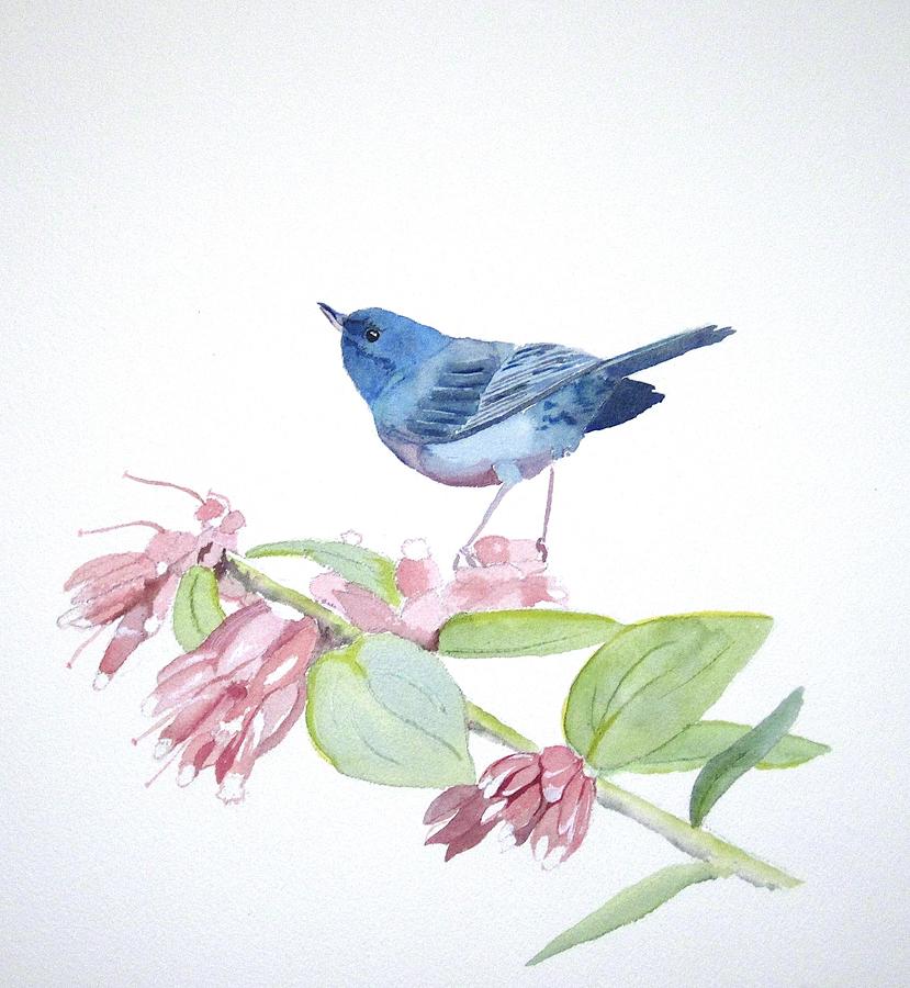 Flowerpiercer Painting by Dominique Bachelet