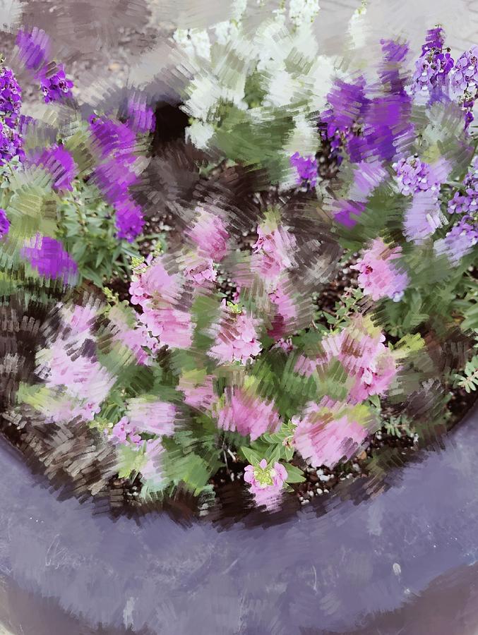 Flowerpot With Pink Flowers I Digital Art by Suzanne Powers