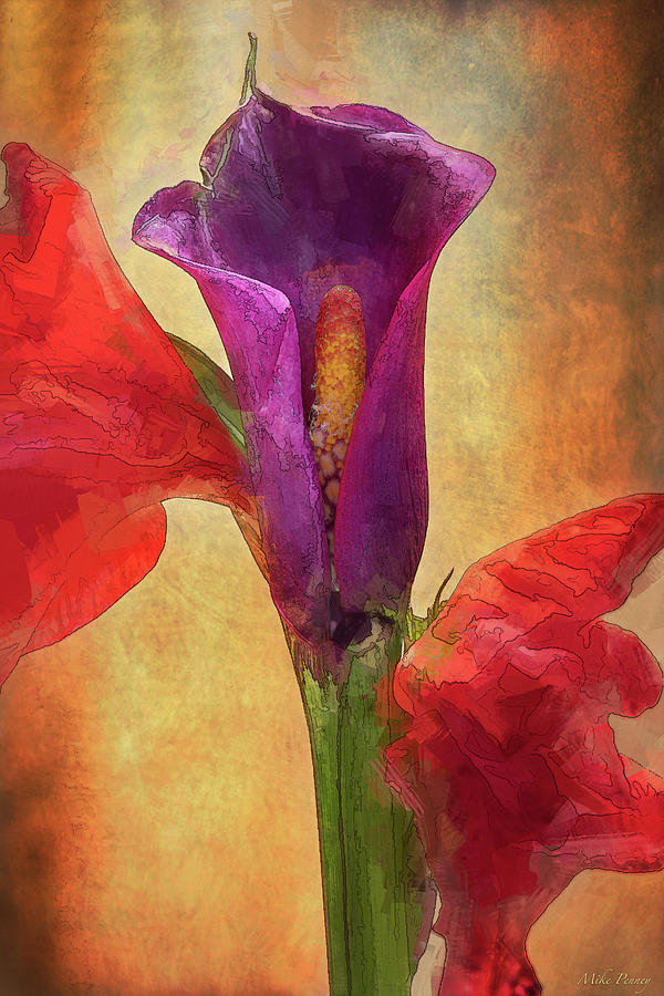 Flowers 7-22-001 Digital Art by Mike Penney