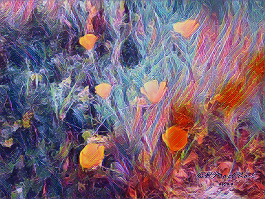 Flowers A Little Wild in the Yard Digital Art by Barbara MacPhail