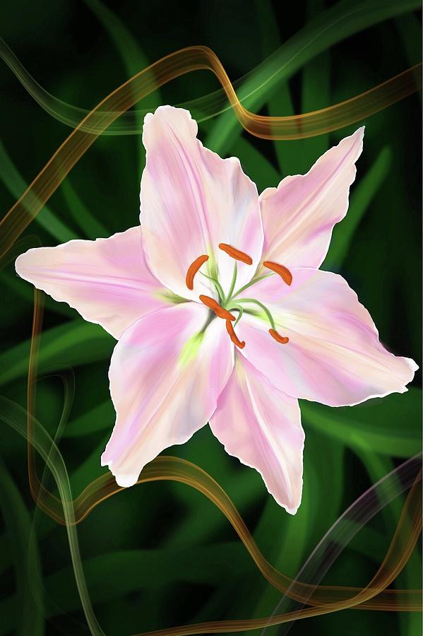 Flowers Digital Art by Alexis Planer Fine Art America