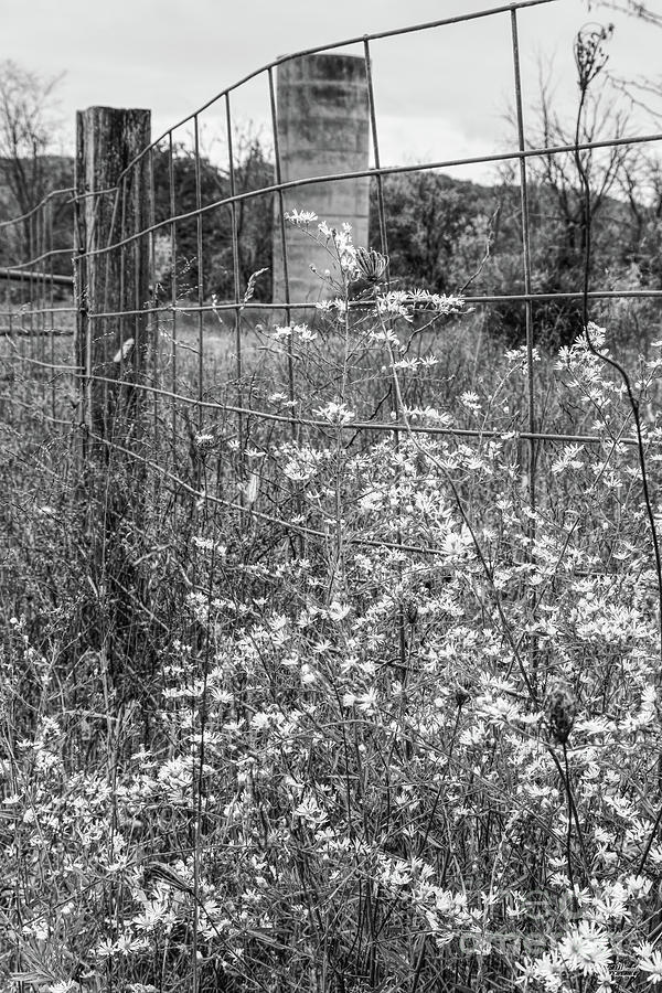 Flowers And A Silo Grayscale Photograph by Jennifer White
