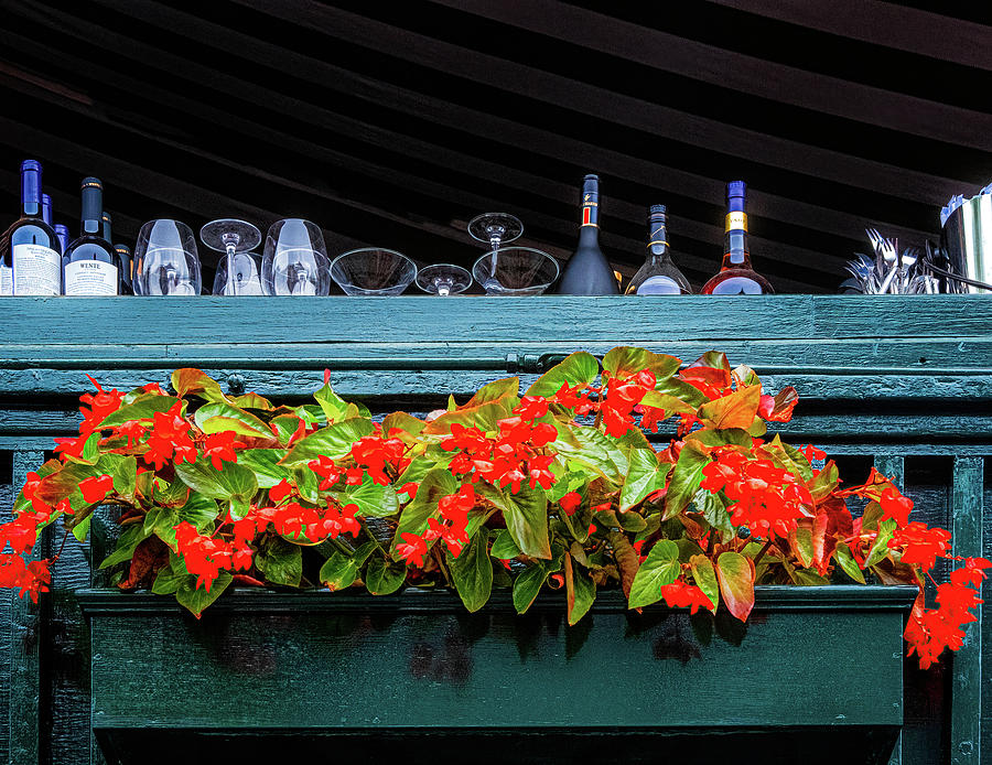 Flowers And Bottles Photograph by Tom Singleton