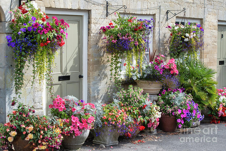 Flowers and Cottages Cirencester Photograph by Tim Gainey