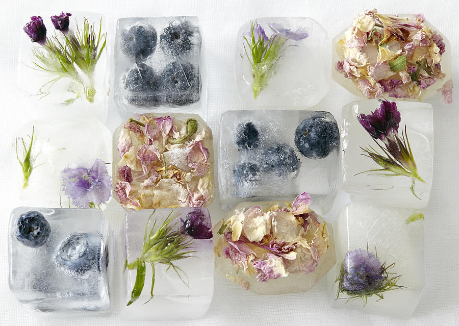 Flowers and fruit frozen in ice-cubes Photograph by Debby Lewis-Harrison