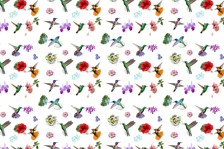 Flowers and hummingbirds of Trinidad and Tobago - White Digital Art by Rachel Lee Young