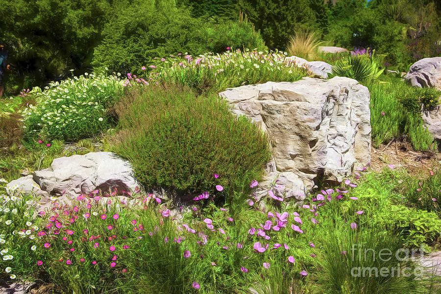 Flowers and Rocks Photograph by Jon Burch Photography
