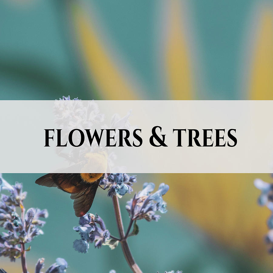 Flowers and Trees Logo Photograph by Jason McPheeters
