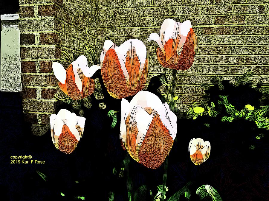 Flowers as art by Karl Rose Flowers as art by Karl Rose