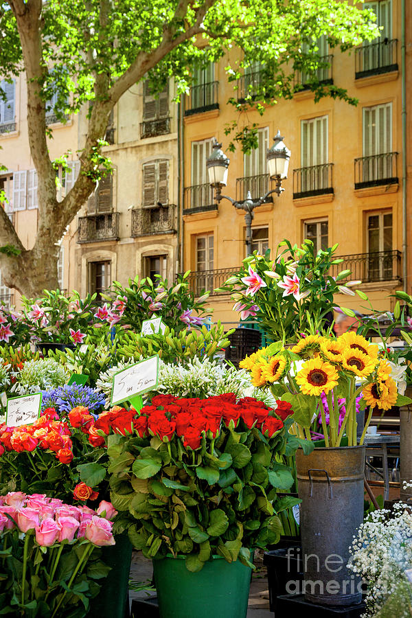 Flowers at Market - Aix en Provence France Photograph by Brian Jannsen