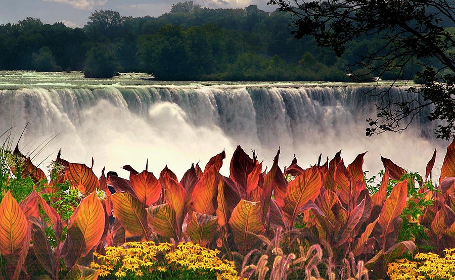Flowers at Niagra Falls Photograph by Bob Pardue