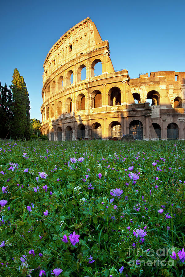 Flowers at the Coliseum - Rome Italy Photograph by Brian Jannsen