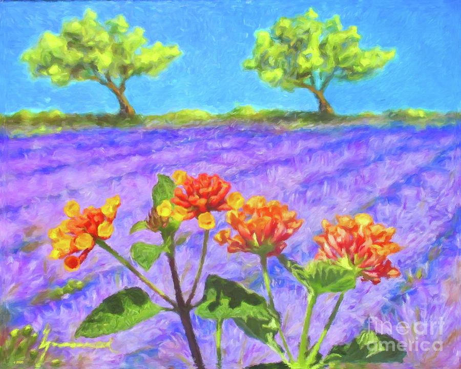 Flowers At The Lavender Field Mixed Media