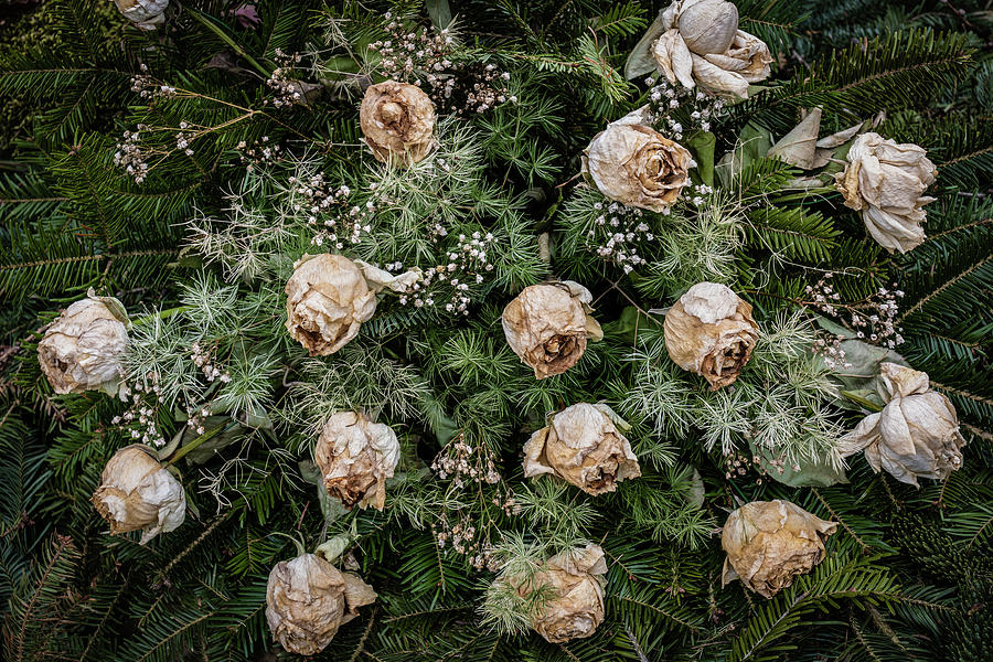 Flowers Beauty Passing Away Photograph by Artur Bogacki