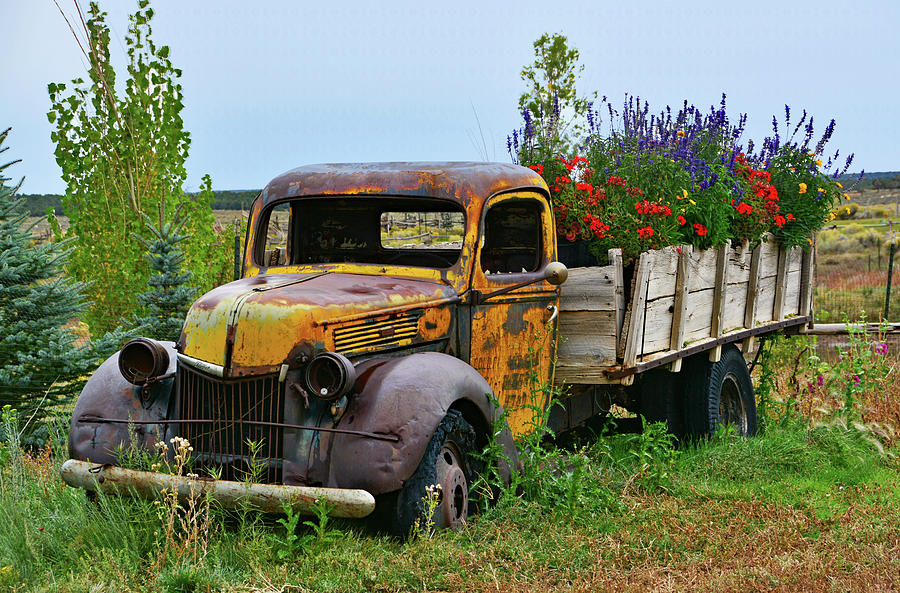 Flowers by the Truckload Photograph by Ben Prepelka