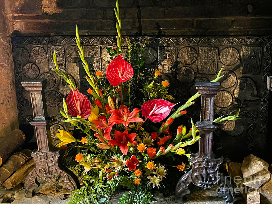 Flowers Display in the Hearth Photograph by Loretta S