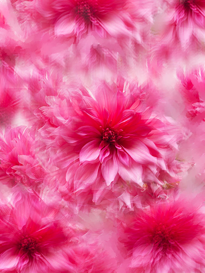 Flowers Fantasy Photograph by Lyudmyla Melnyk - Fine Art America