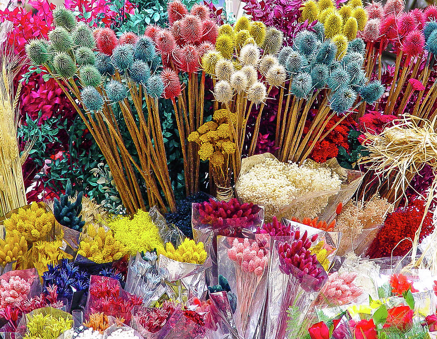 Flowers for Sale in Lisbon, Portugal Photograph by David Morehead