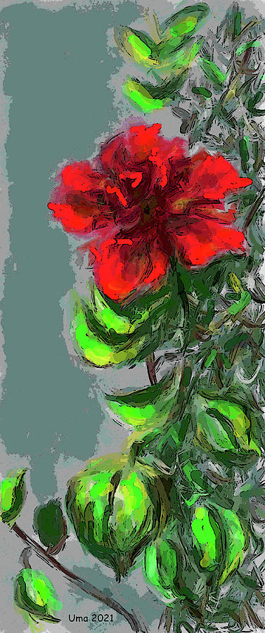 Flowers from my garden 18 Digital Art by Uma Krishnamoorthy